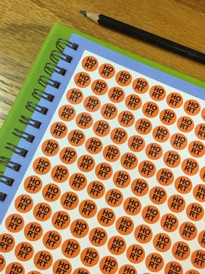 Teacher Code Stickers: Heronderrig / Re-teach a concept - Orange - HO/RT