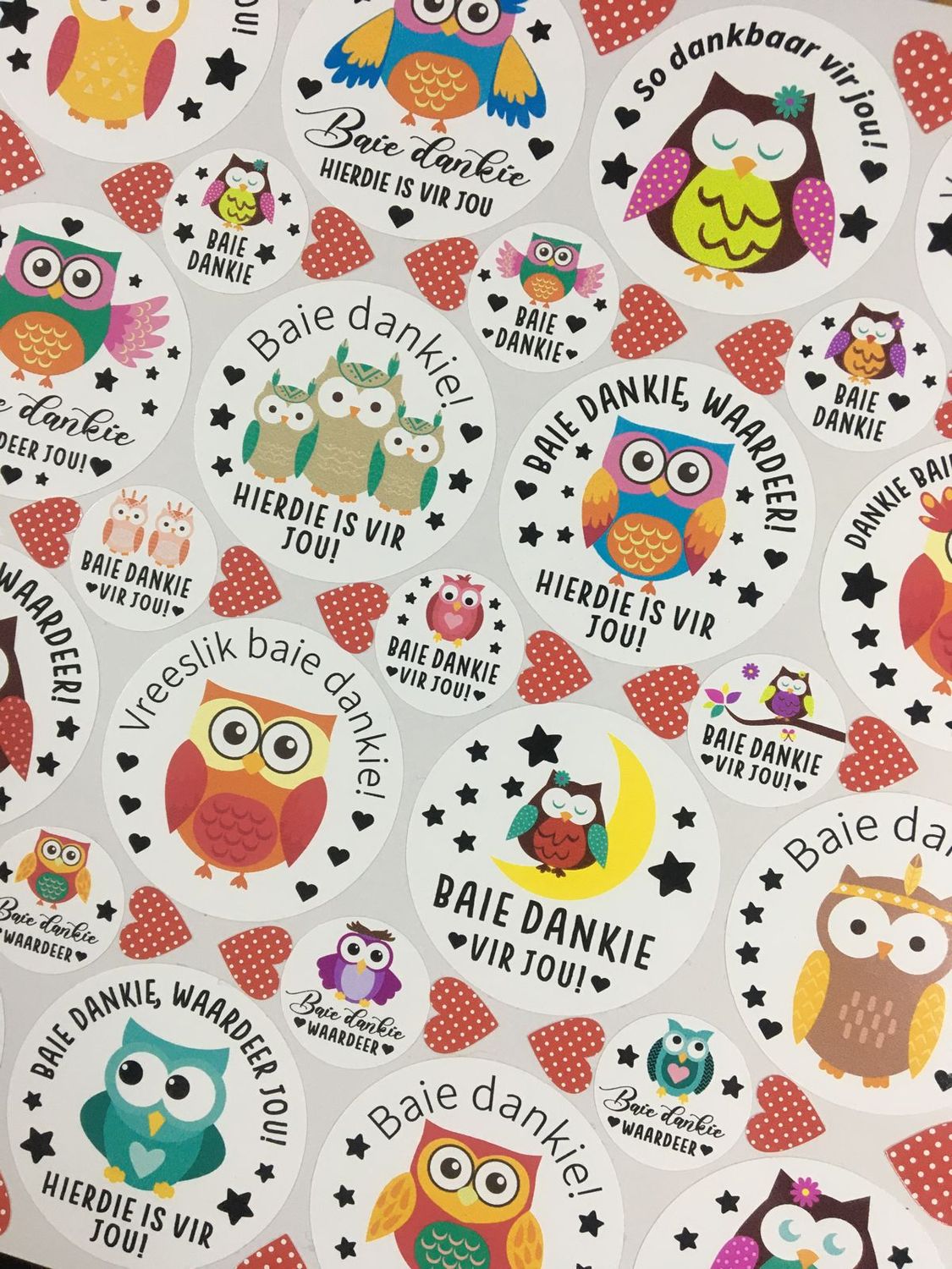 Owls Theme 1 Thank you Stickers - Afrikaans