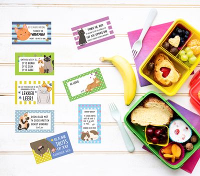 Lunchbox Note Cards