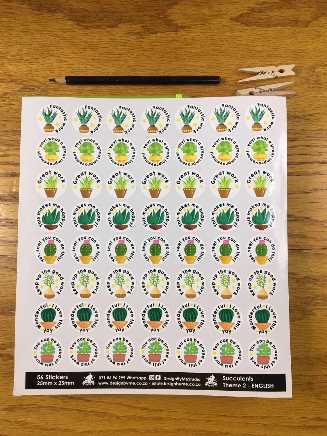 Succulent Sample Sale 91 - English