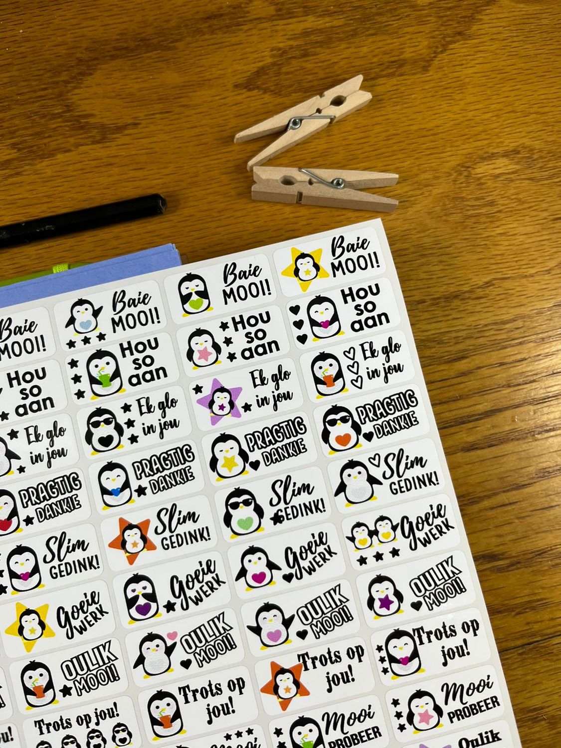 Penguins Theme 6 Reward Stickers  Afrikaans