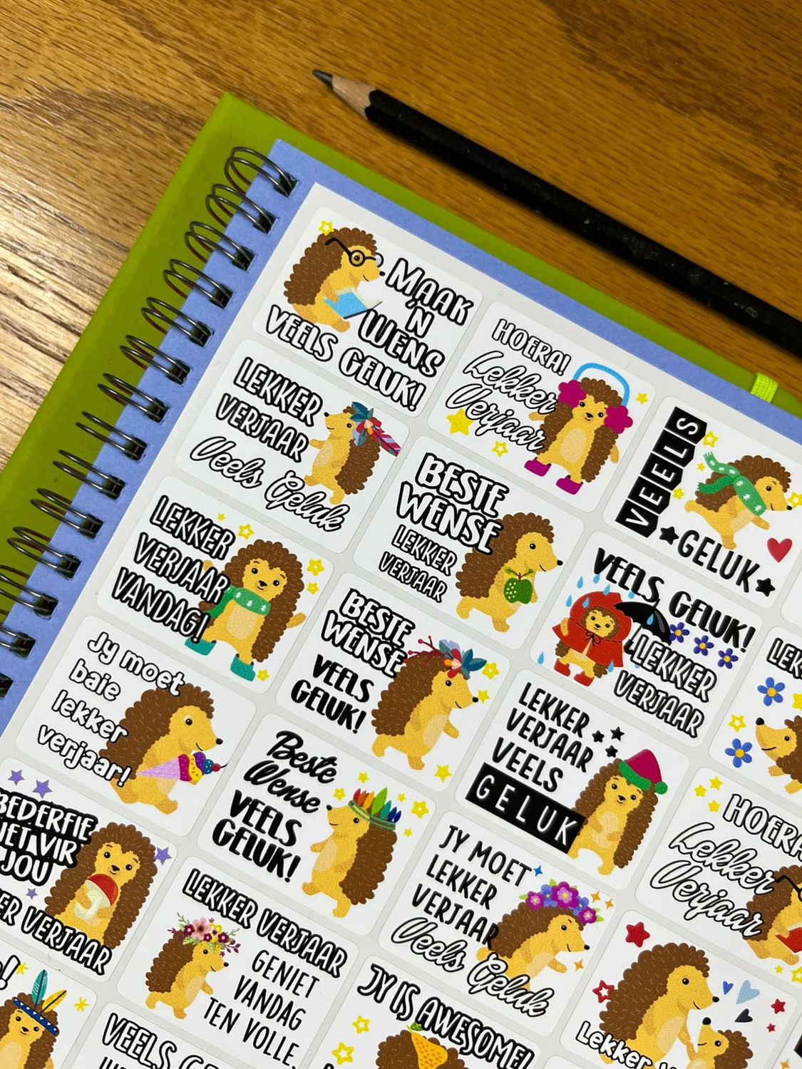 Hedgehog Theme 1 Birthday Gift Stickers Afrikaans