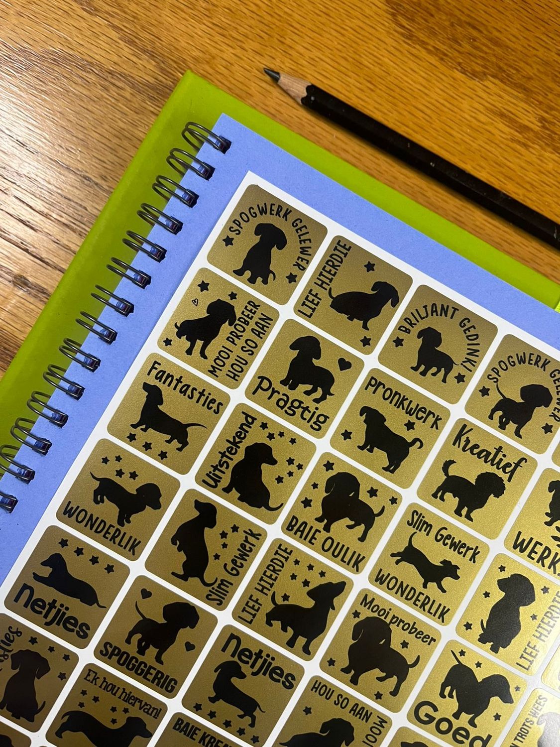 Puppy Dog Worshond Dachshund  Theme 1 Gold Reward Stickers in Afrikaans