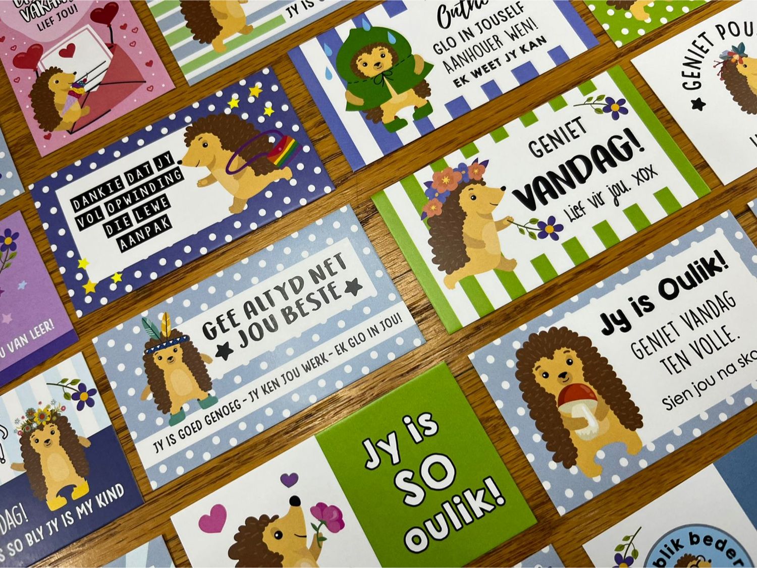 Hedgehog ystervarkie Theme 1 Afrikaans Lunchbox Note Cards