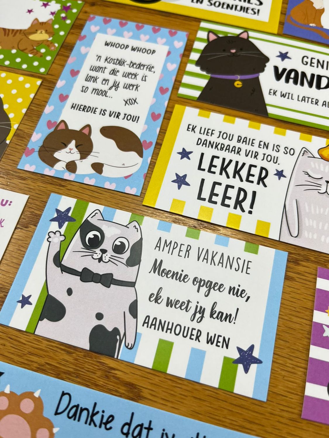 Kitty Cat Theme 1 Afrikaans Lunchbox Note Cards