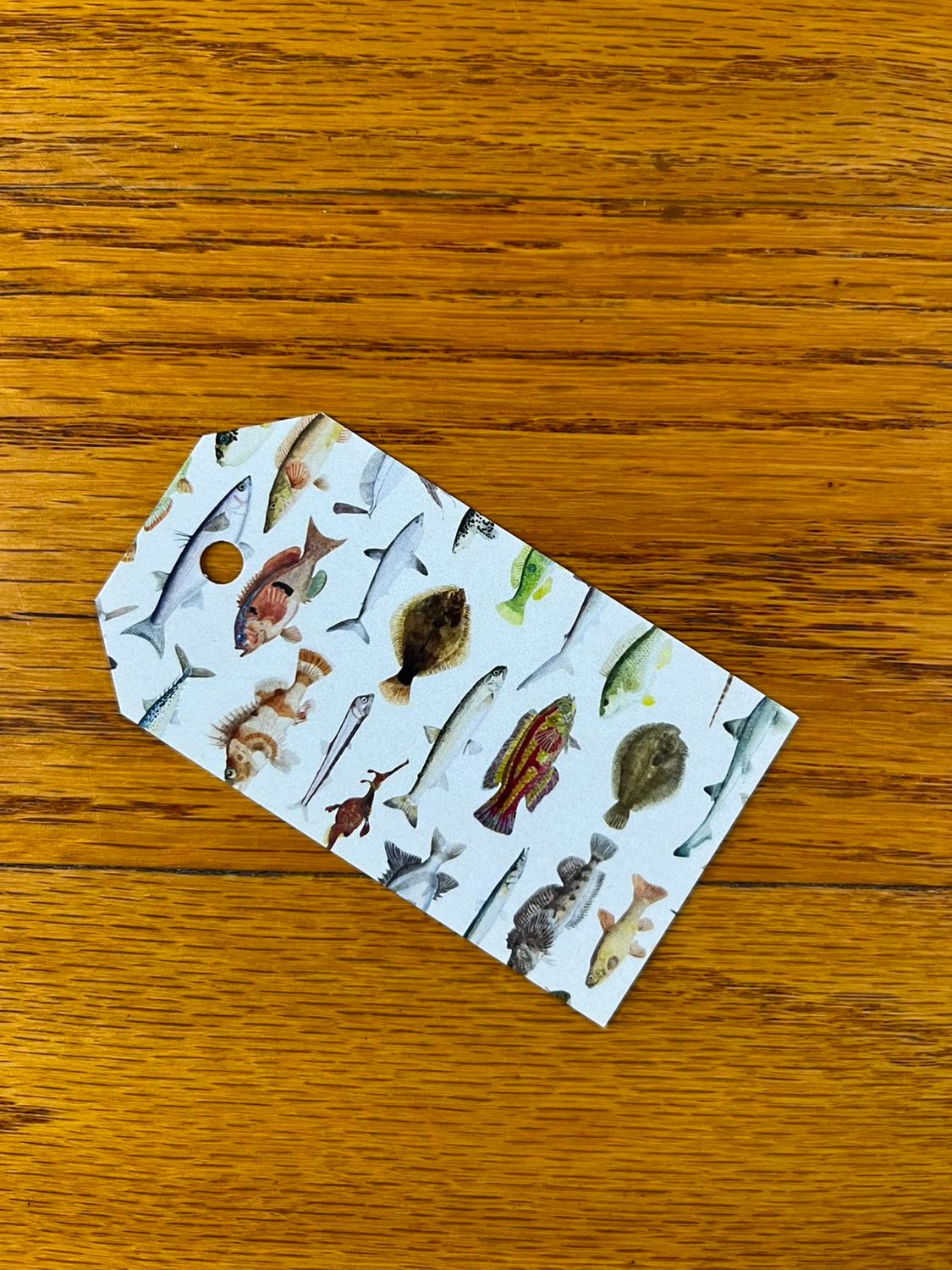 Fish Theme 1 Gift tag with No Words