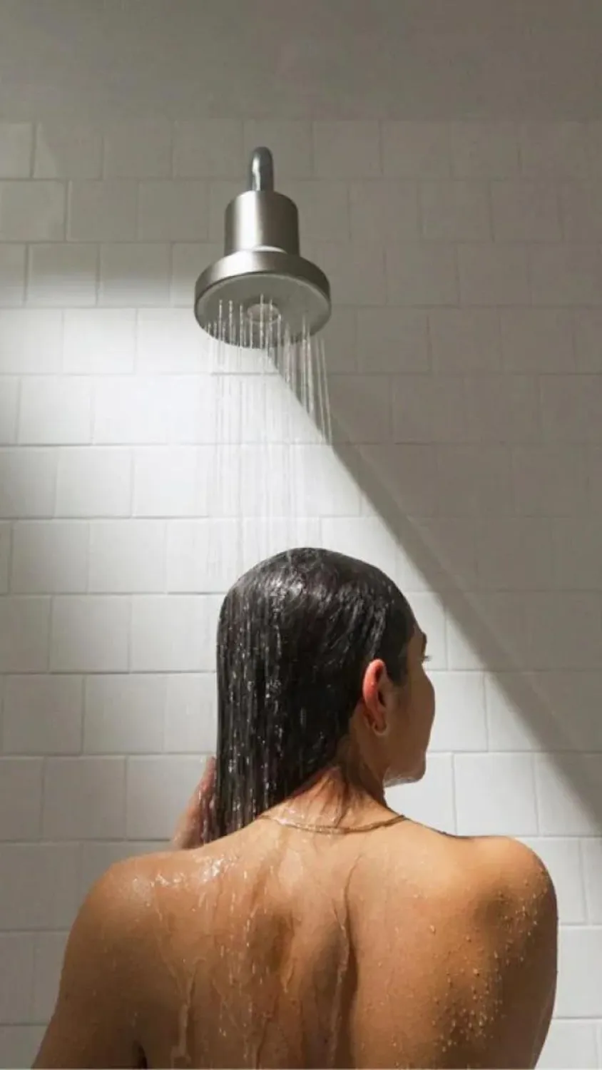 Jolie Brushed Steel Showerhead