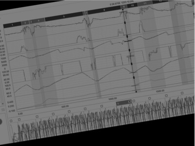Data and Race Engineering Services