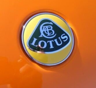Lotus