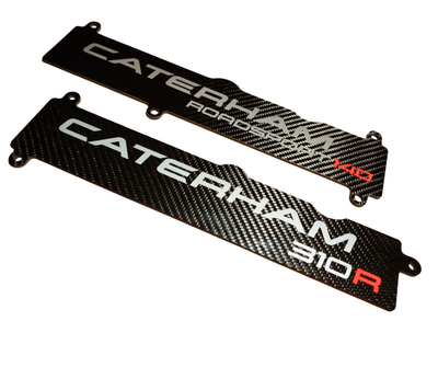 Carbon Engine Covers