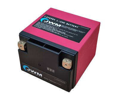 JWM PS-30 LiFePO4 BATTERY BUNDLE