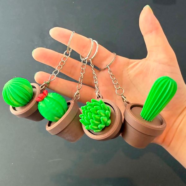 Succulent Fidget Clicker Keychains