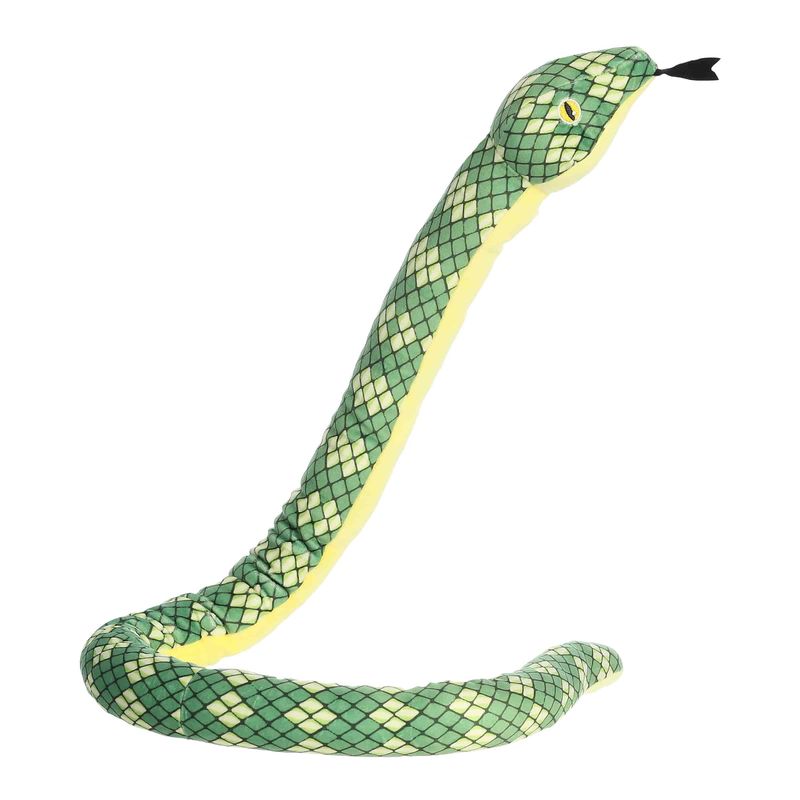 Boa