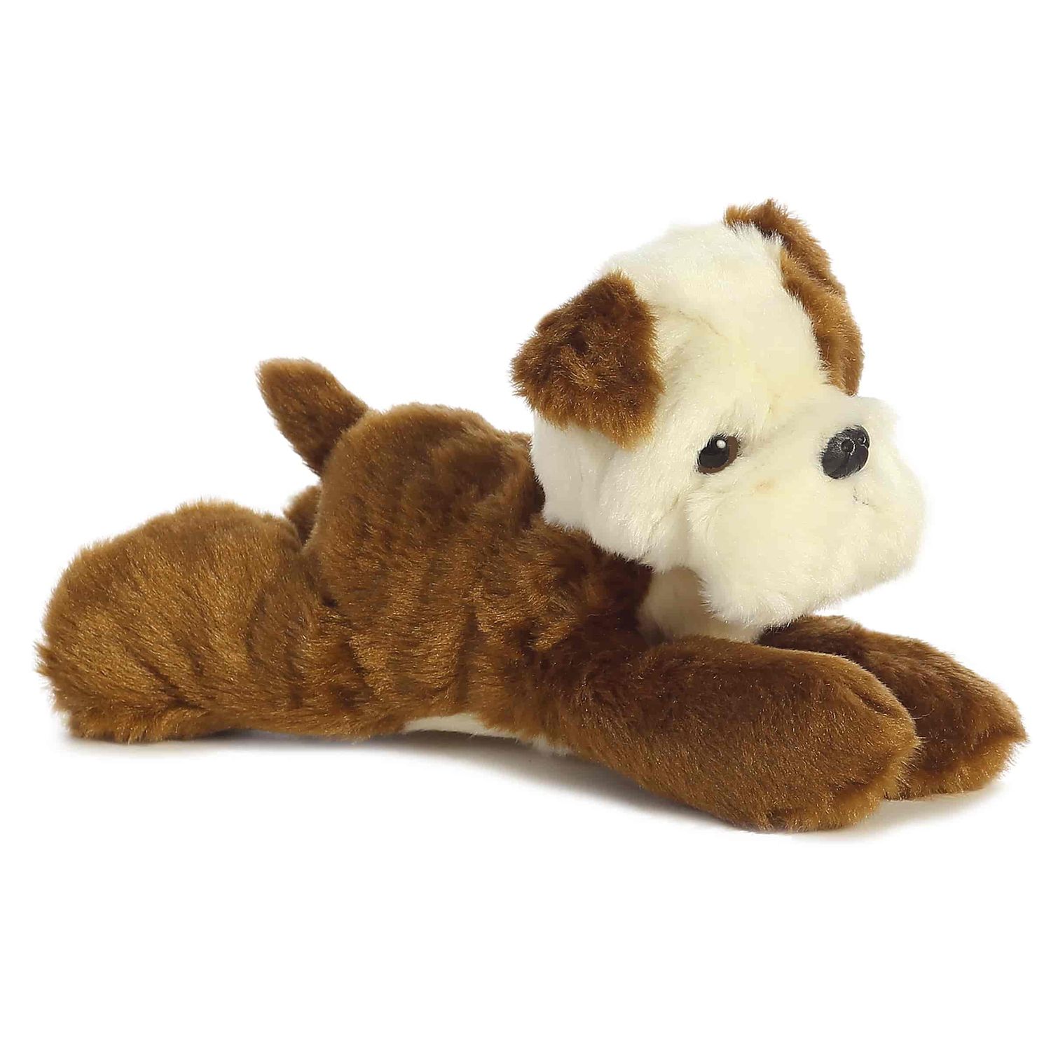 Semper Fi