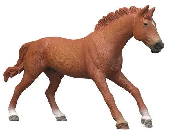English Thoroughbred Stallion