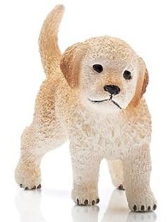 Golden Retriever puppy