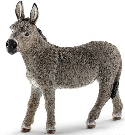 Donkey
