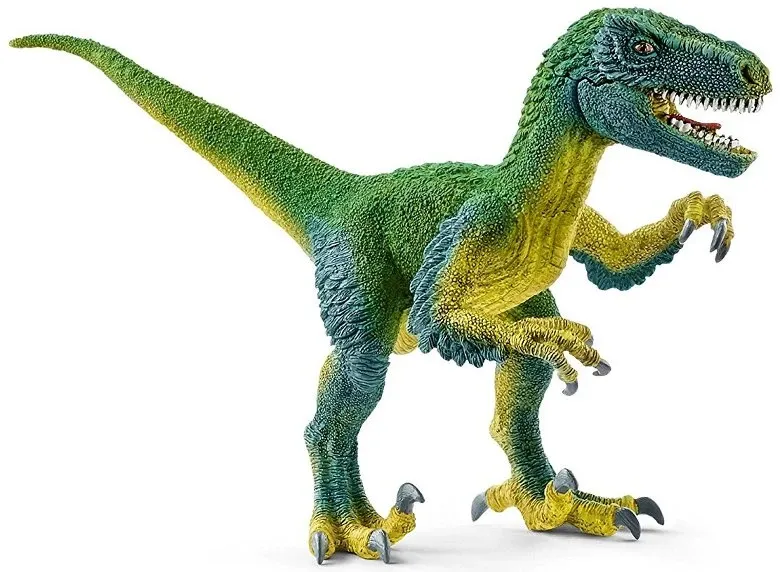 Velociraptor