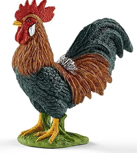 Rooster