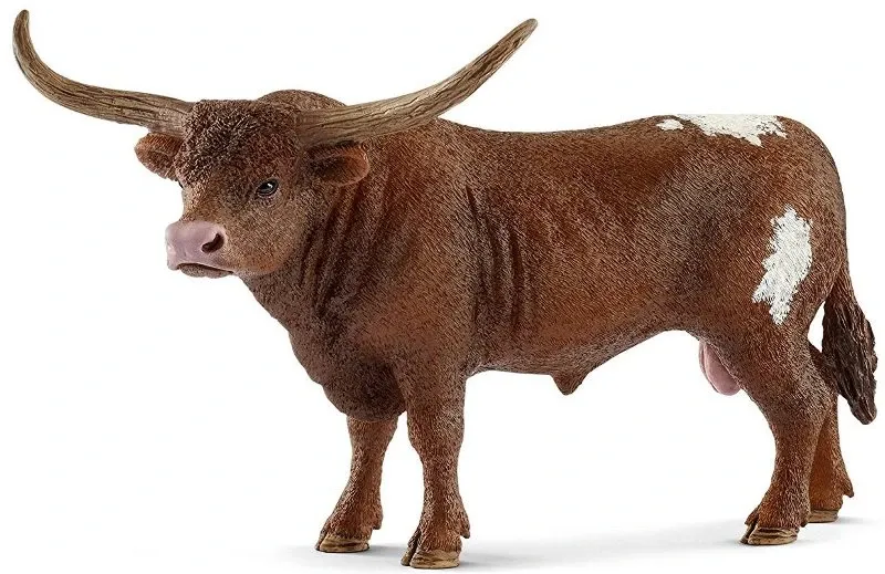 Texas Longhorn bull