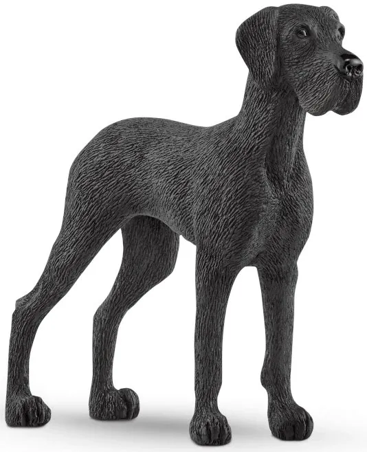 Great Dane