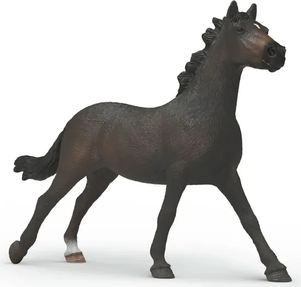 English Thoroughbred Mare