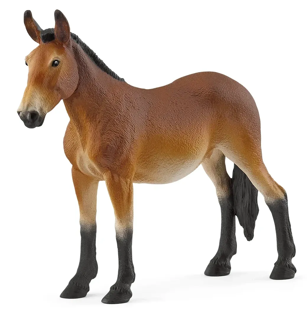 Mule