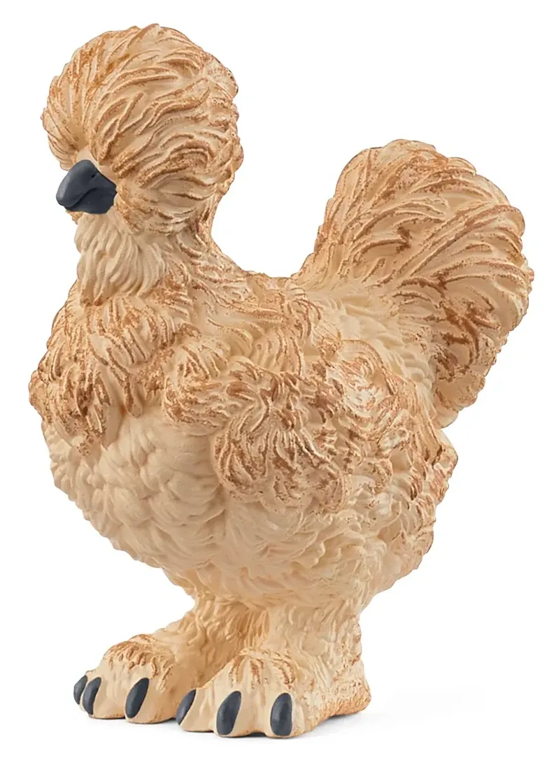 Silkie Chicken