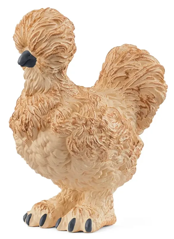 Silkie Chicken