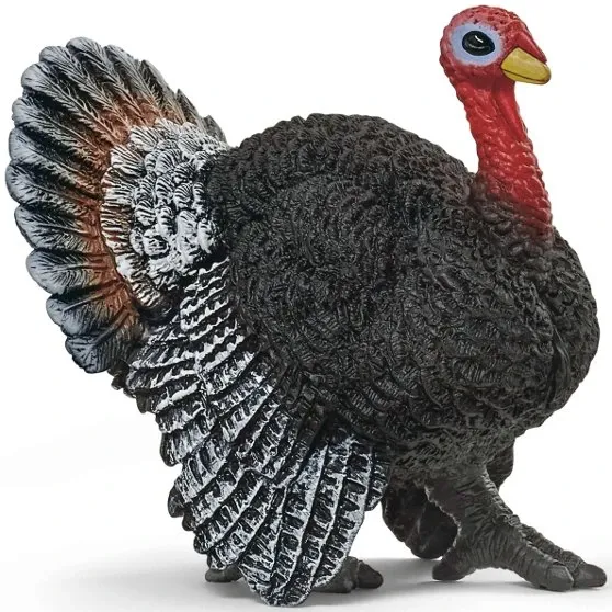 Turkey