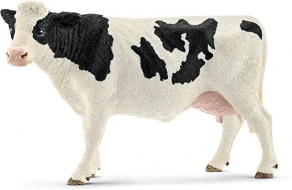 Holstein cow