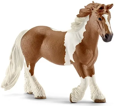 Tinker mare