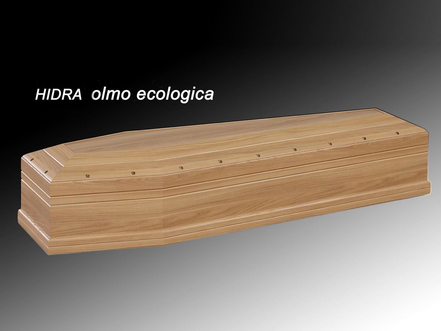 Hidra olmo ecologica