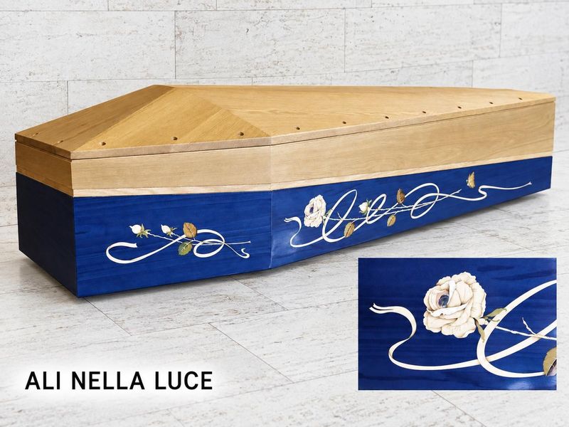 Ali nella luce