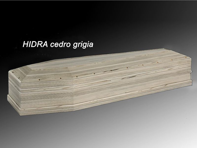 Hidra cedro grigia