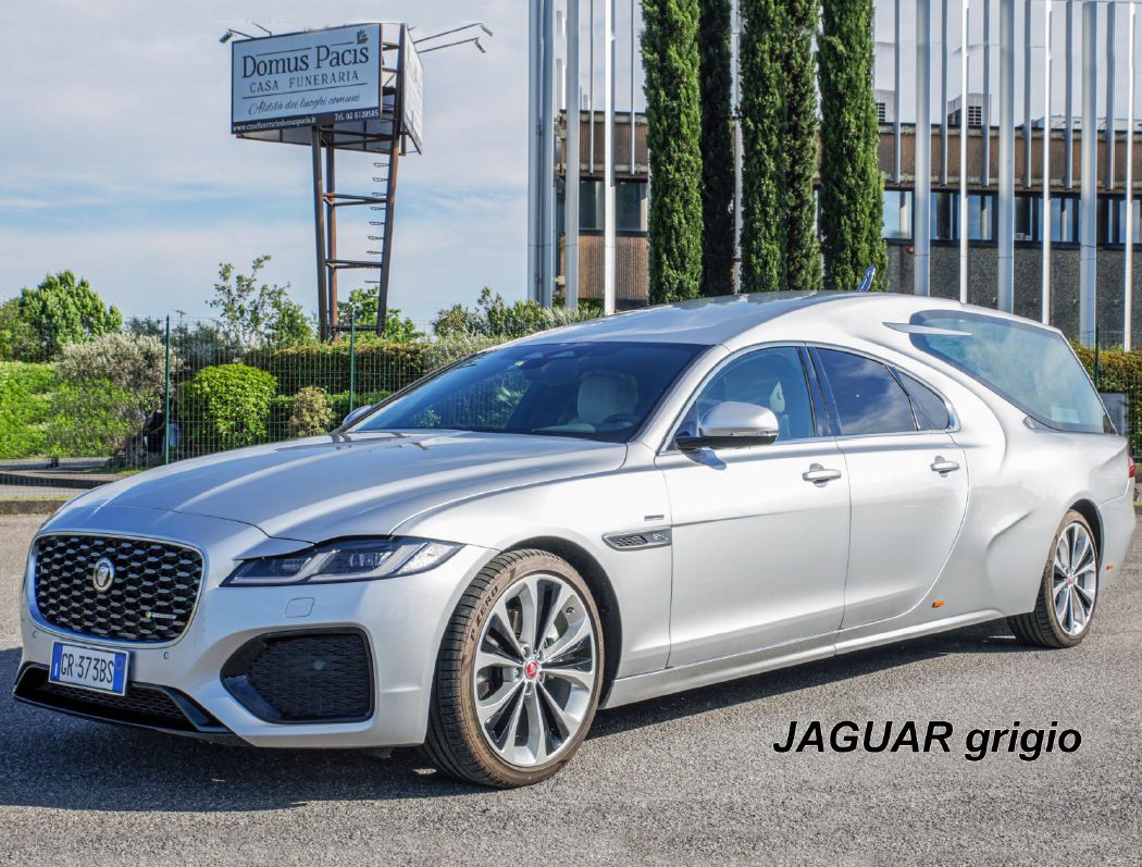 Jaguar grigio