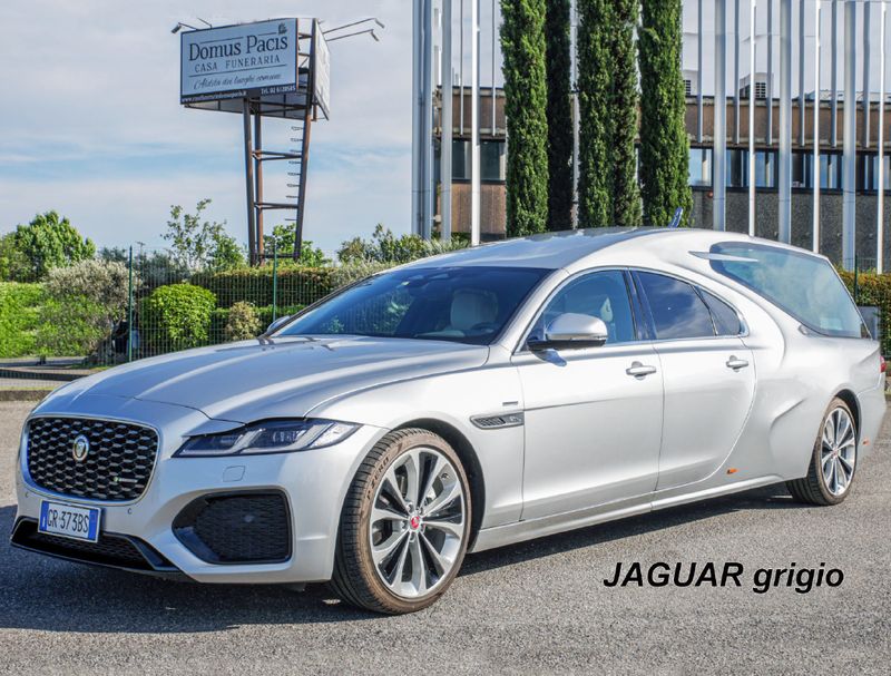 Jaguar grigio