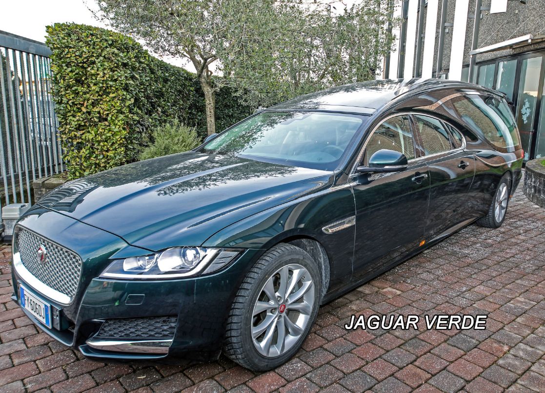 Jaguar verde