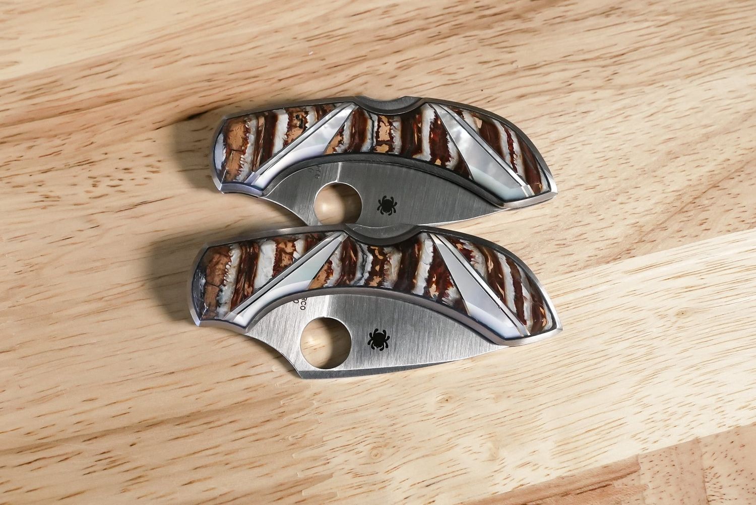 Santa Fe Stoneworks Spyderco Dragonfly Mammoth Tooth