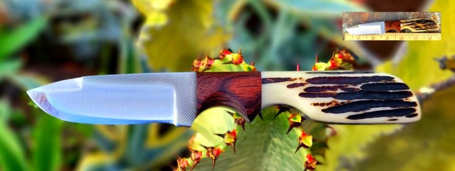 Anza, WKXX6-Walnut-LJ Bone