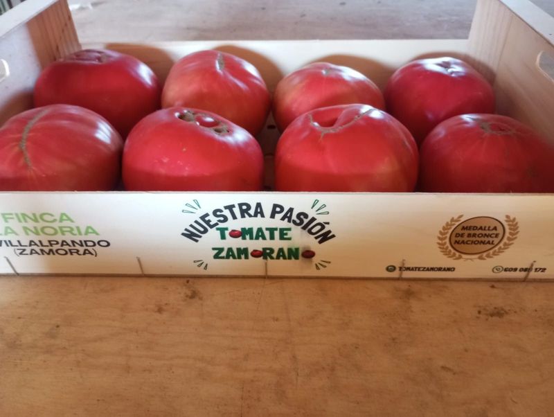 Tomates