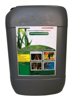 Alga Fertilizzante 5 Lit