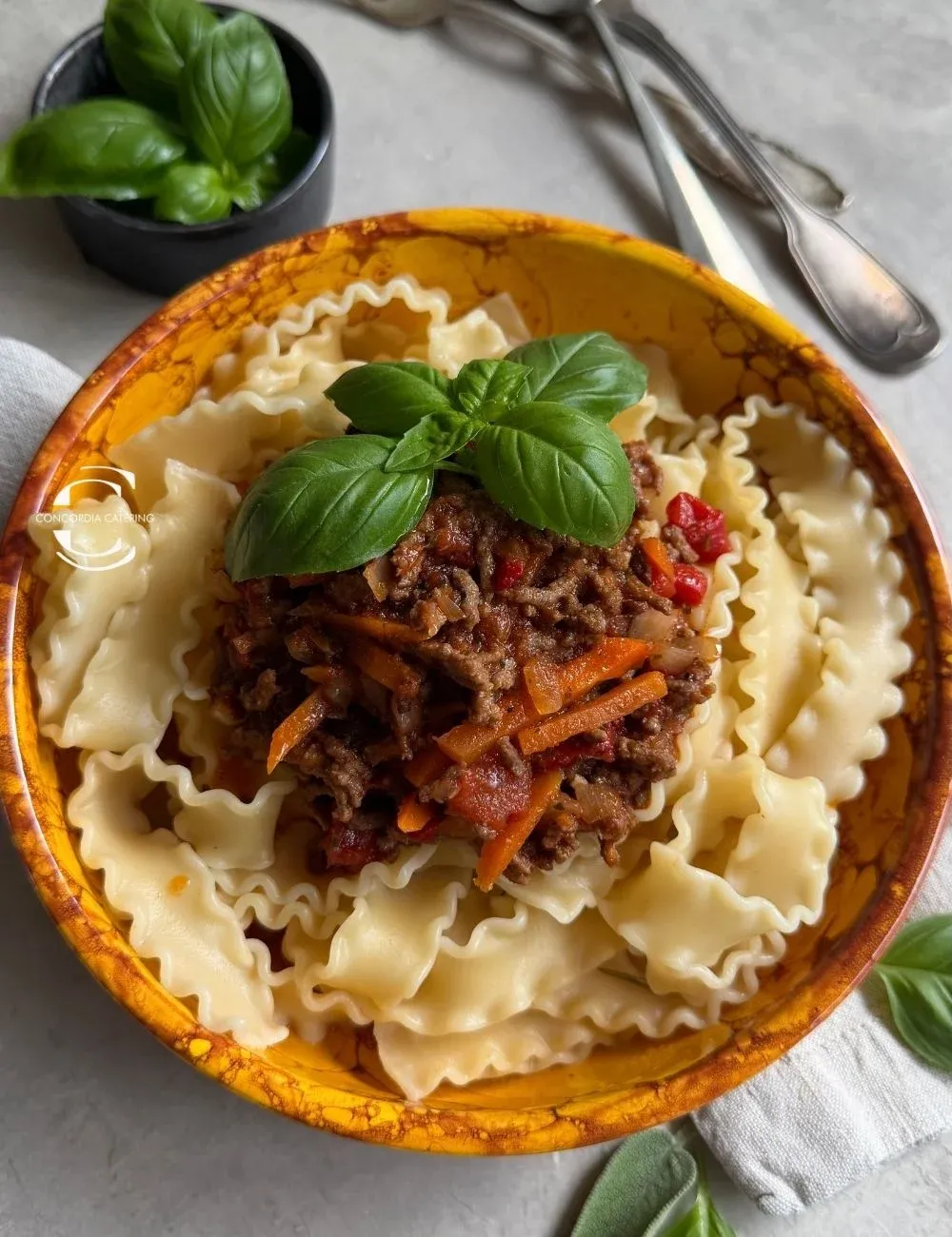 BEEF BOLOGNESE SAUCE WITH VEGETABLES