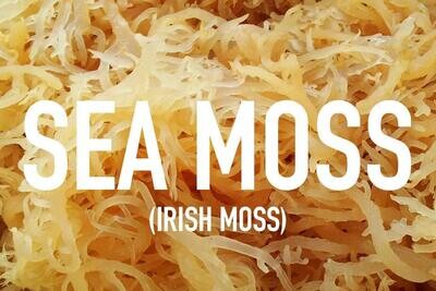 Sea Moss Wildcrafted from St. Lucia