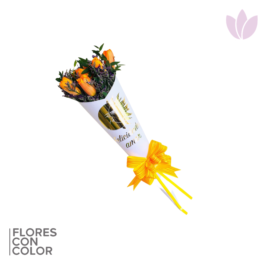 🌷CONO DE 10 TULIPANES
