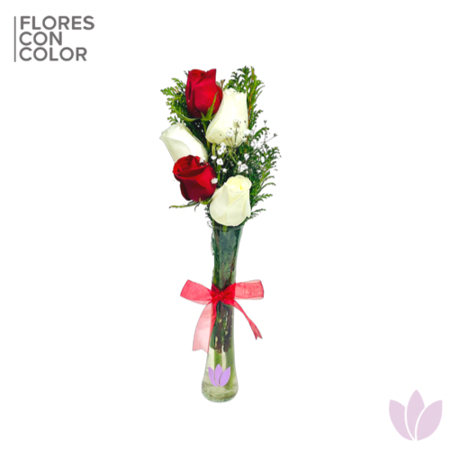 VIOLETERO 5 ROSAS