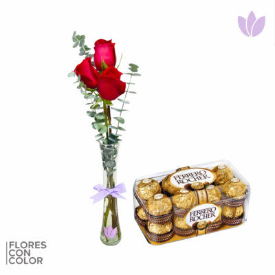 PAQUETE VIOLETERO 3 ROSAS