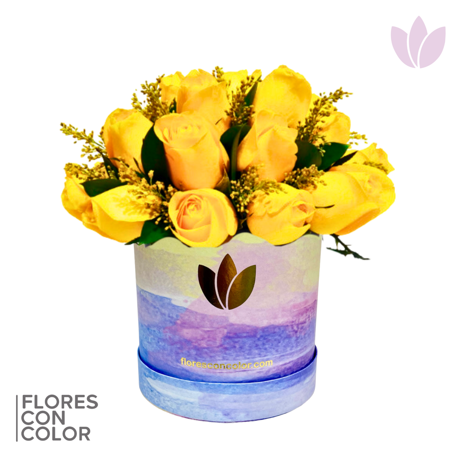 CAJA 24 ROSAS