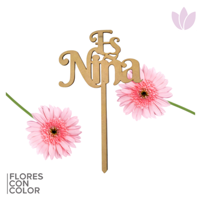 LETRERO NIÑA