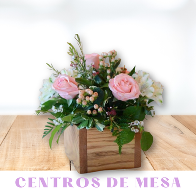 EVENTOS
